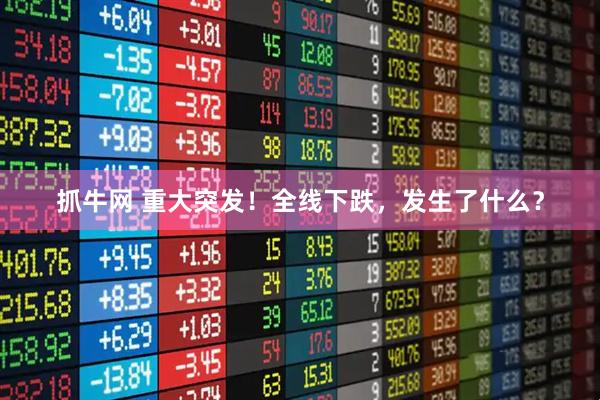 抓牛网 重大突发！全线下跌，发生了什么？