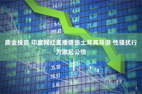 鼎金投资 印度网红直播猥亵土耳其导游 性骚扰行为激起公愤