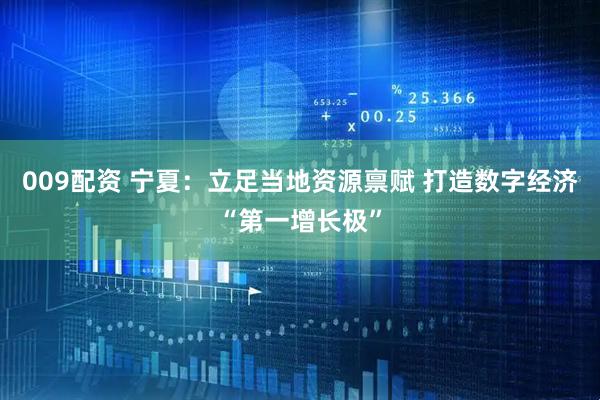 009配资 宁夏：立足当地资源禀赋 打造数字经济“第一增长极”