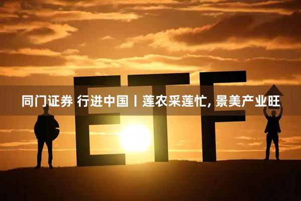 同门证券 行进中国丨莲农采莲忙, 景美产业旺