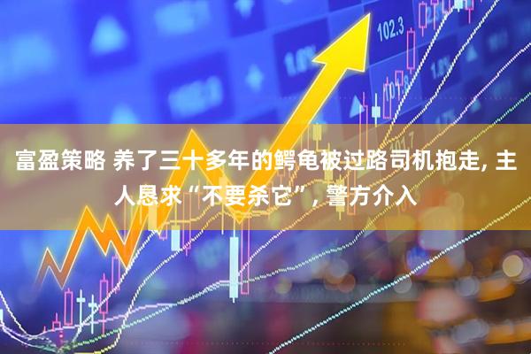 富盈策略 养了三十多年的鳄龟被过路司机抱走, 主人恳求“不要杀它”, 警方介入