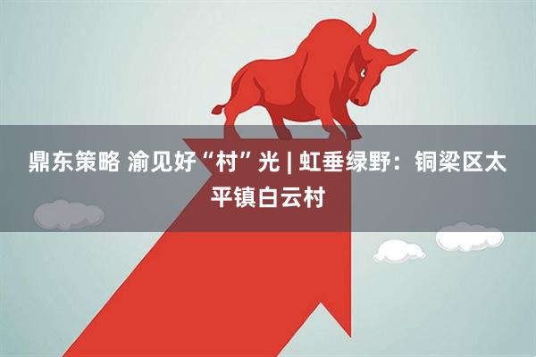 鼎东策略 渝见好“村”光 | 虹垂绿野：铜梁区太平镇白云村
