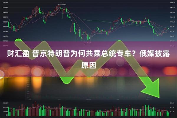 财汇盈 普京特朗普为何共乘总统专车？俄媒披露原因