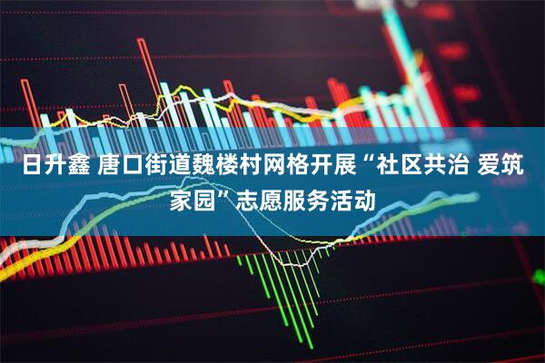 日升鑫 唐口街道魏楼村网格开展“社区共治 爱筑家园”志愿服务活动