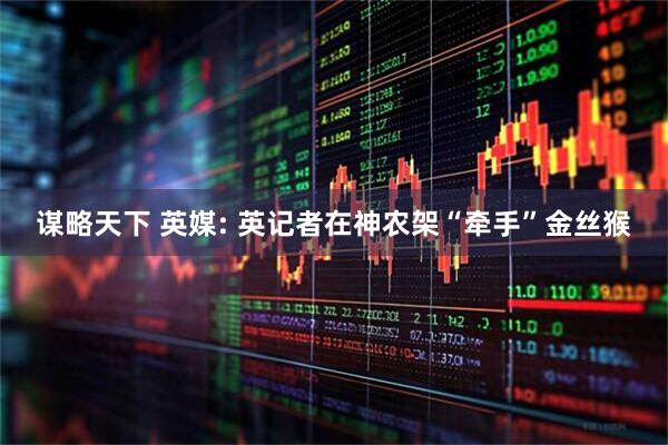 谋略天下 英媒: 英记者在神农架“牵手”金丝猴