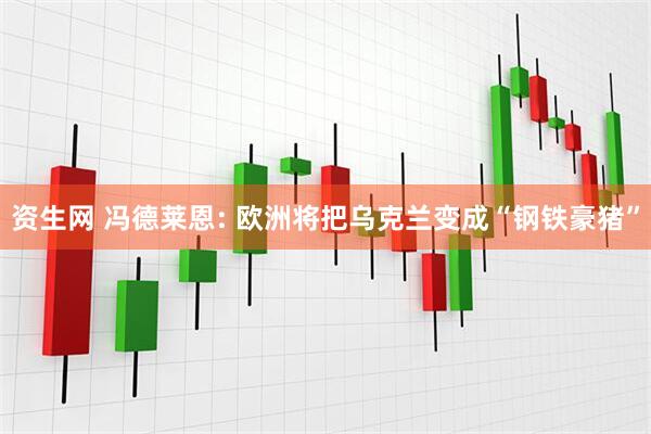 资生网 冯德莱恩: 欧洲将把乌克兰变成“钢铁豪猪”