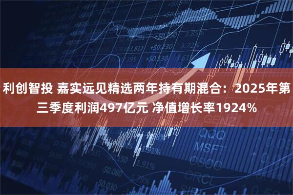 利创智投 嘉实远见精选两年持有期混合:2025年第三季度利润497亿元 净值增长率1924%